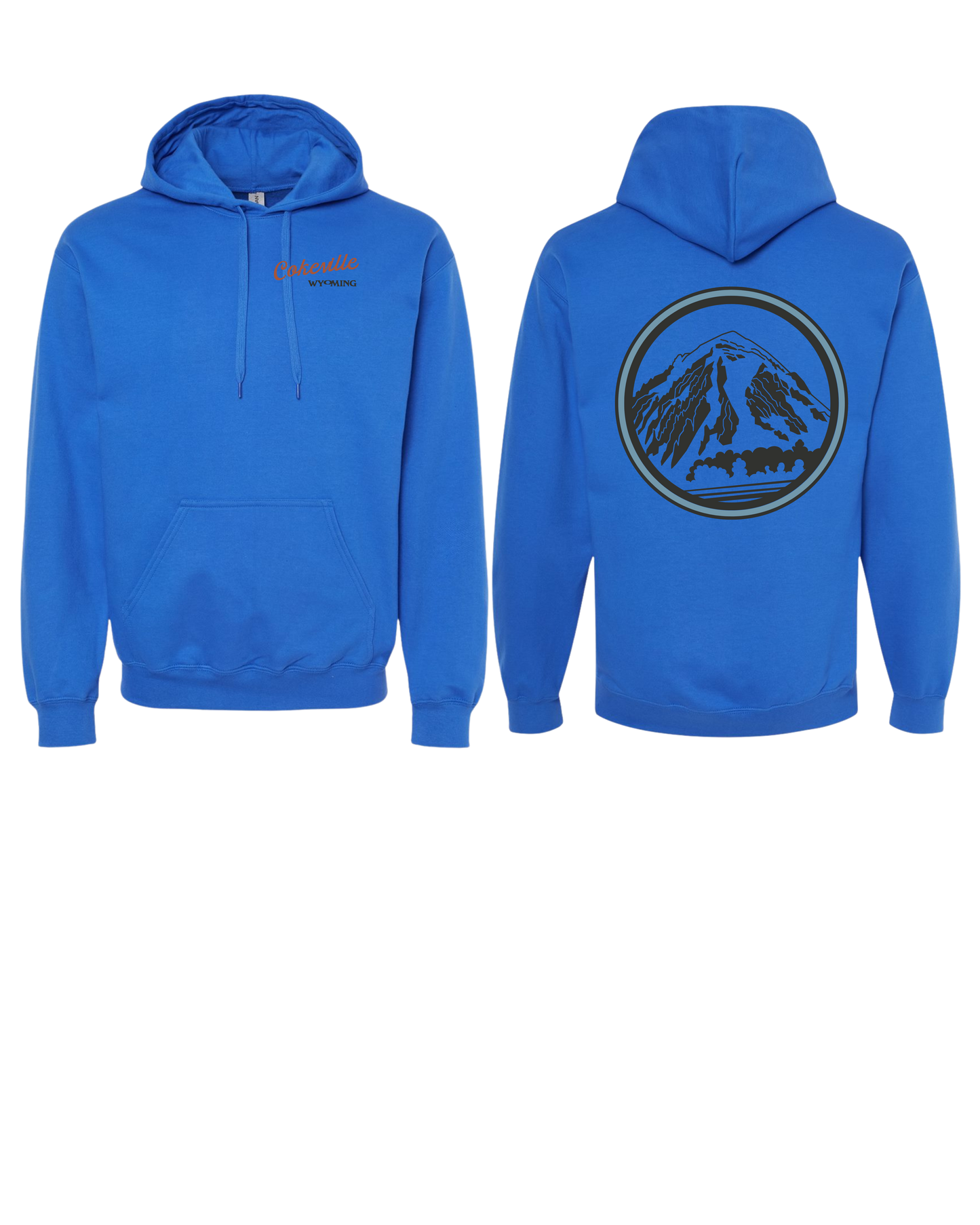 Hoodie Option #2