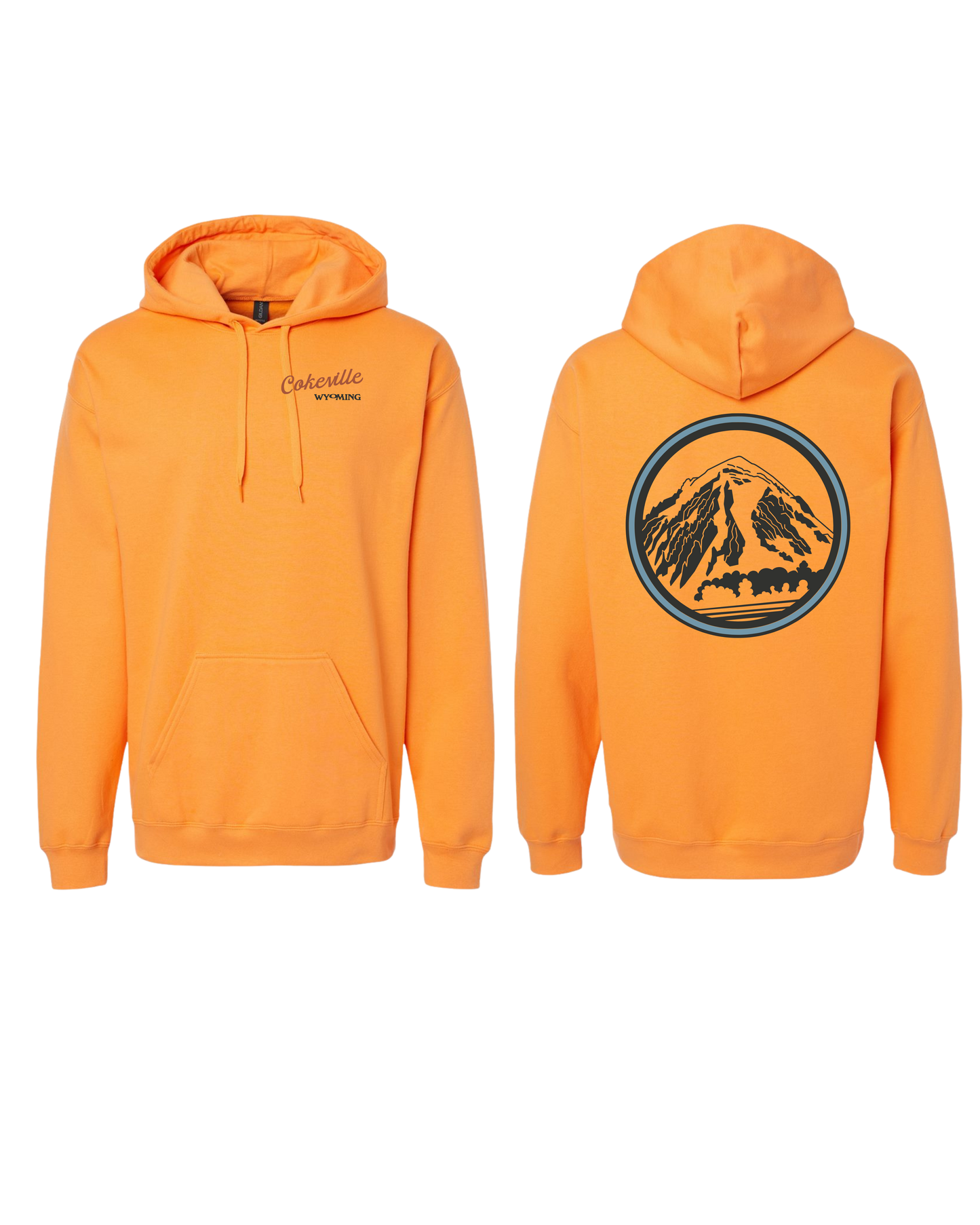 Hoodie Option #2