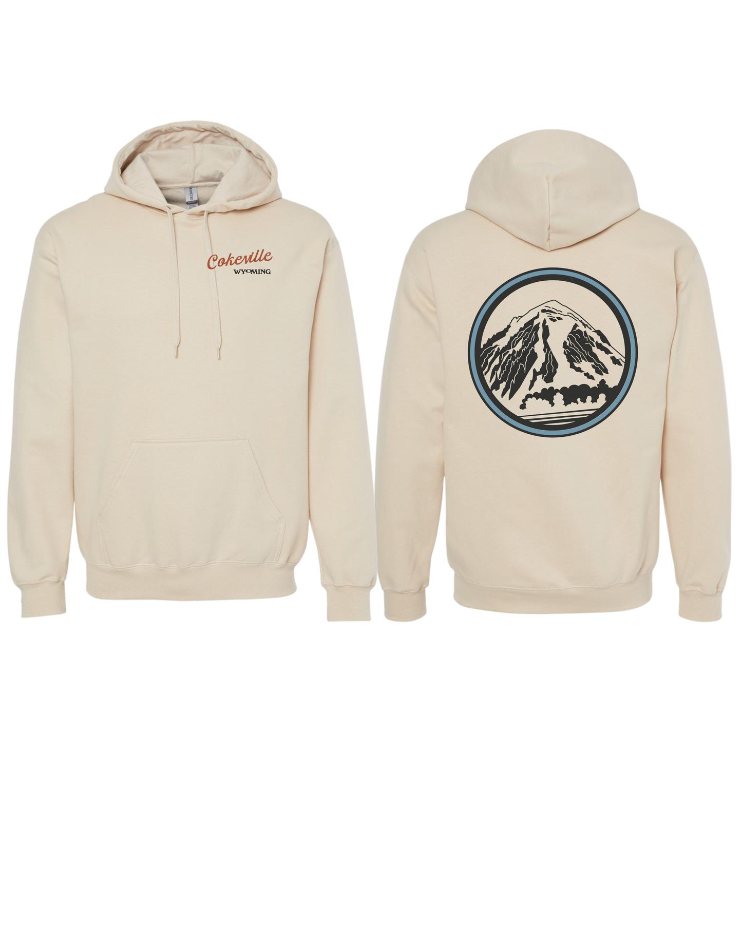 Hoodie Option #2