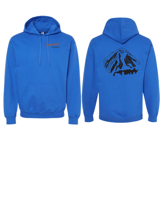 Hoodie Option #1