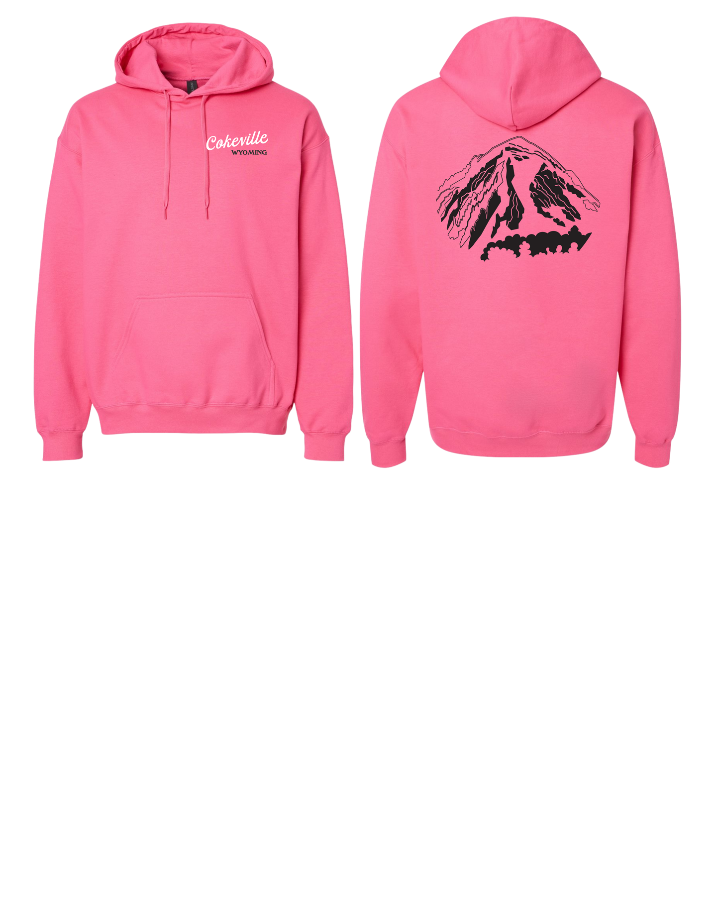 Hoodie Option #1