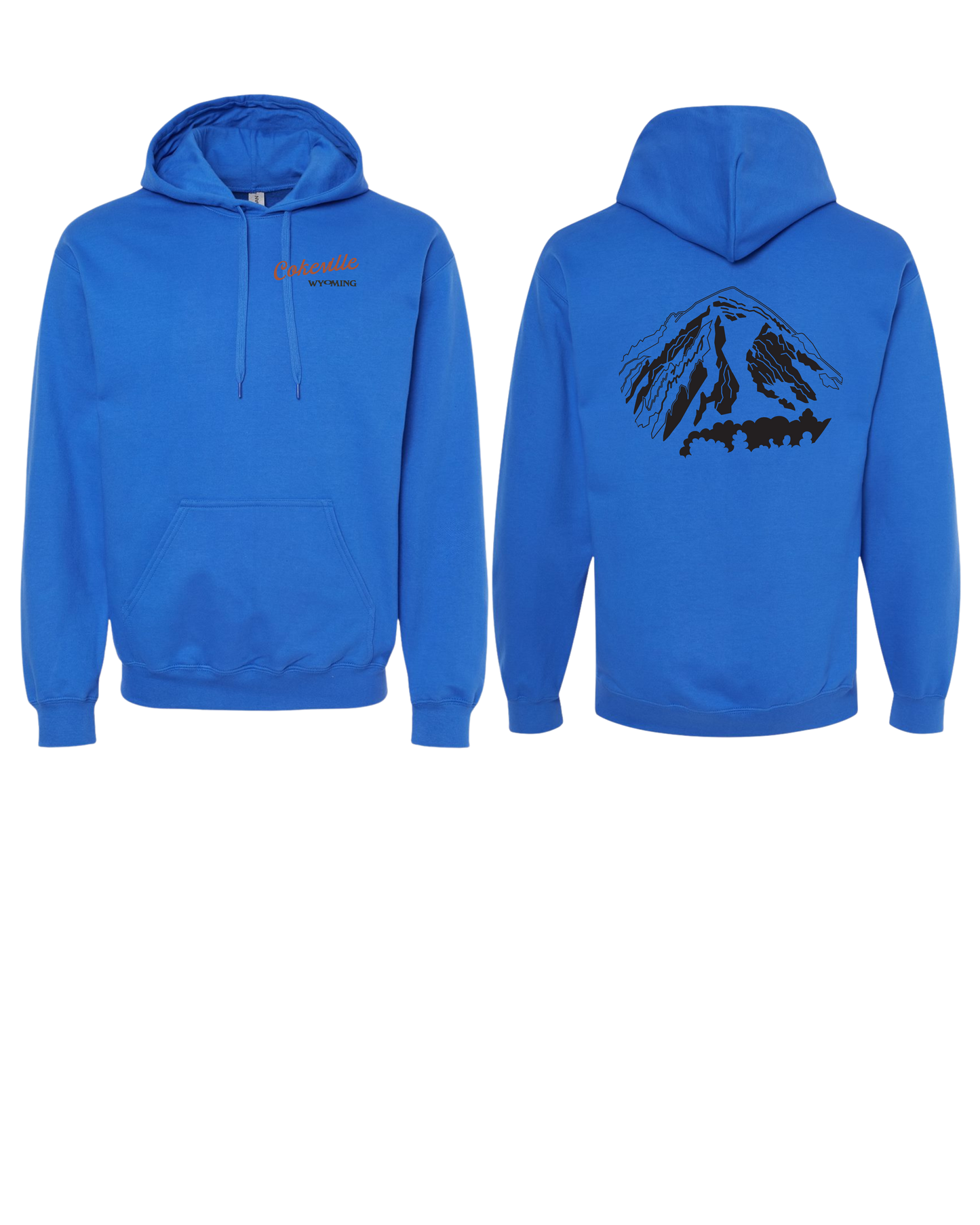 Hoodie Option #1
