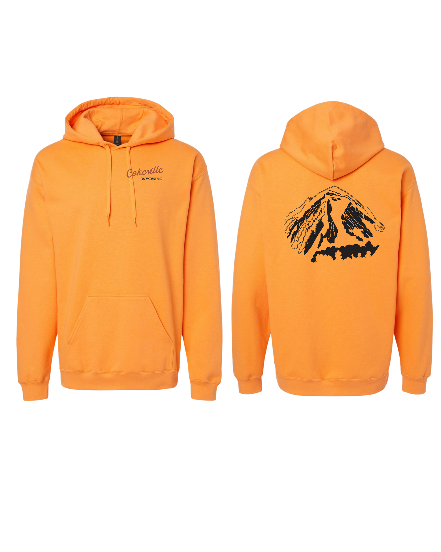 Hoodie Option #1