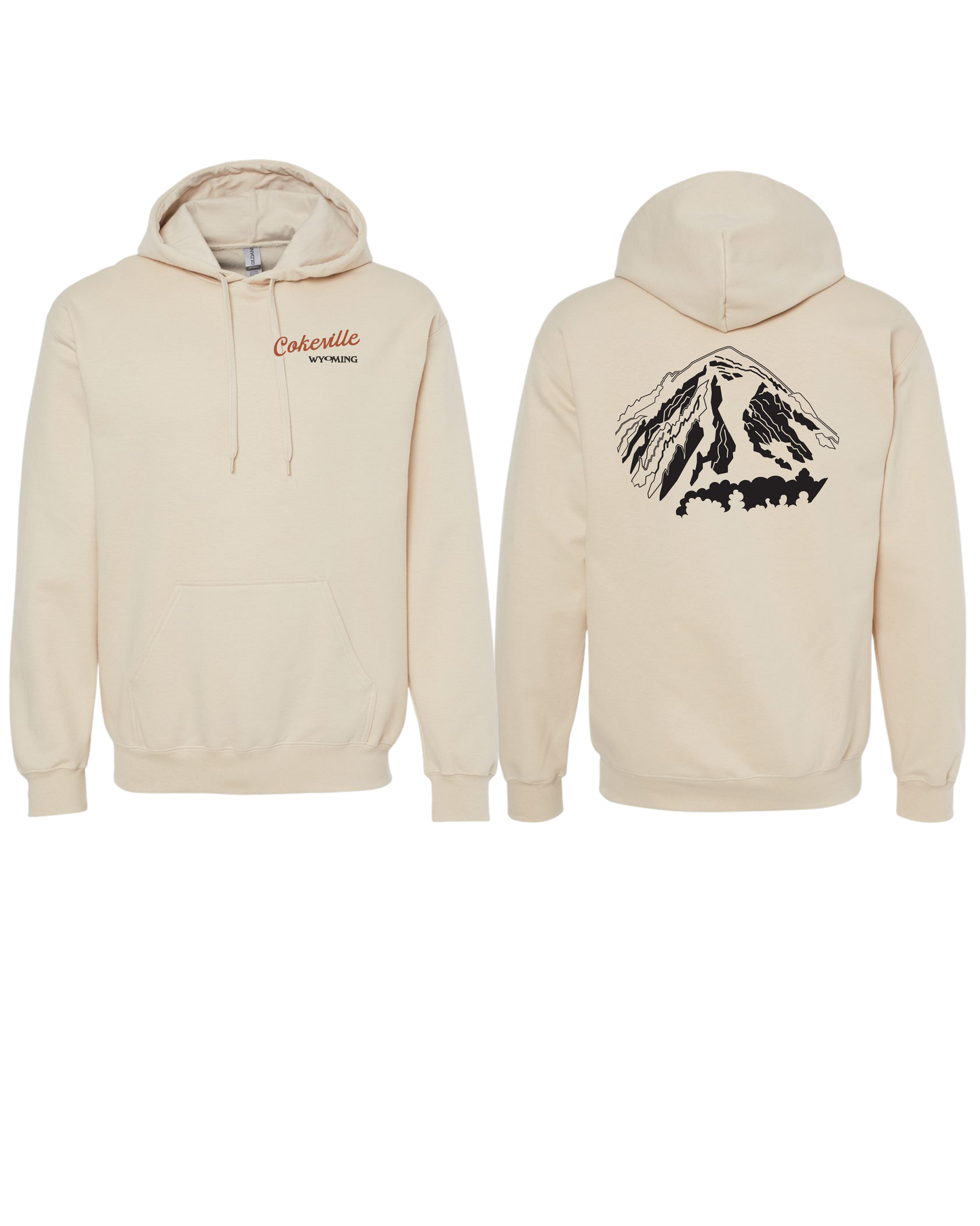 Hoodie Option #1
