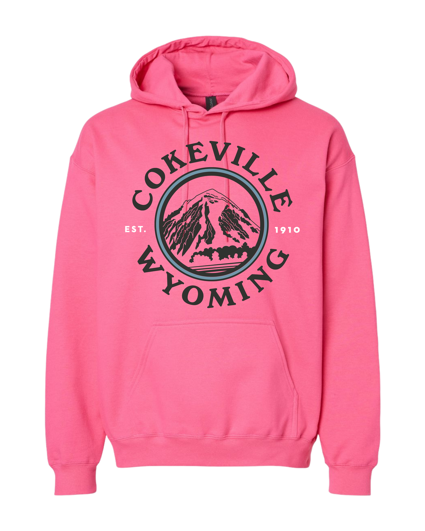 Hoodie Option #3