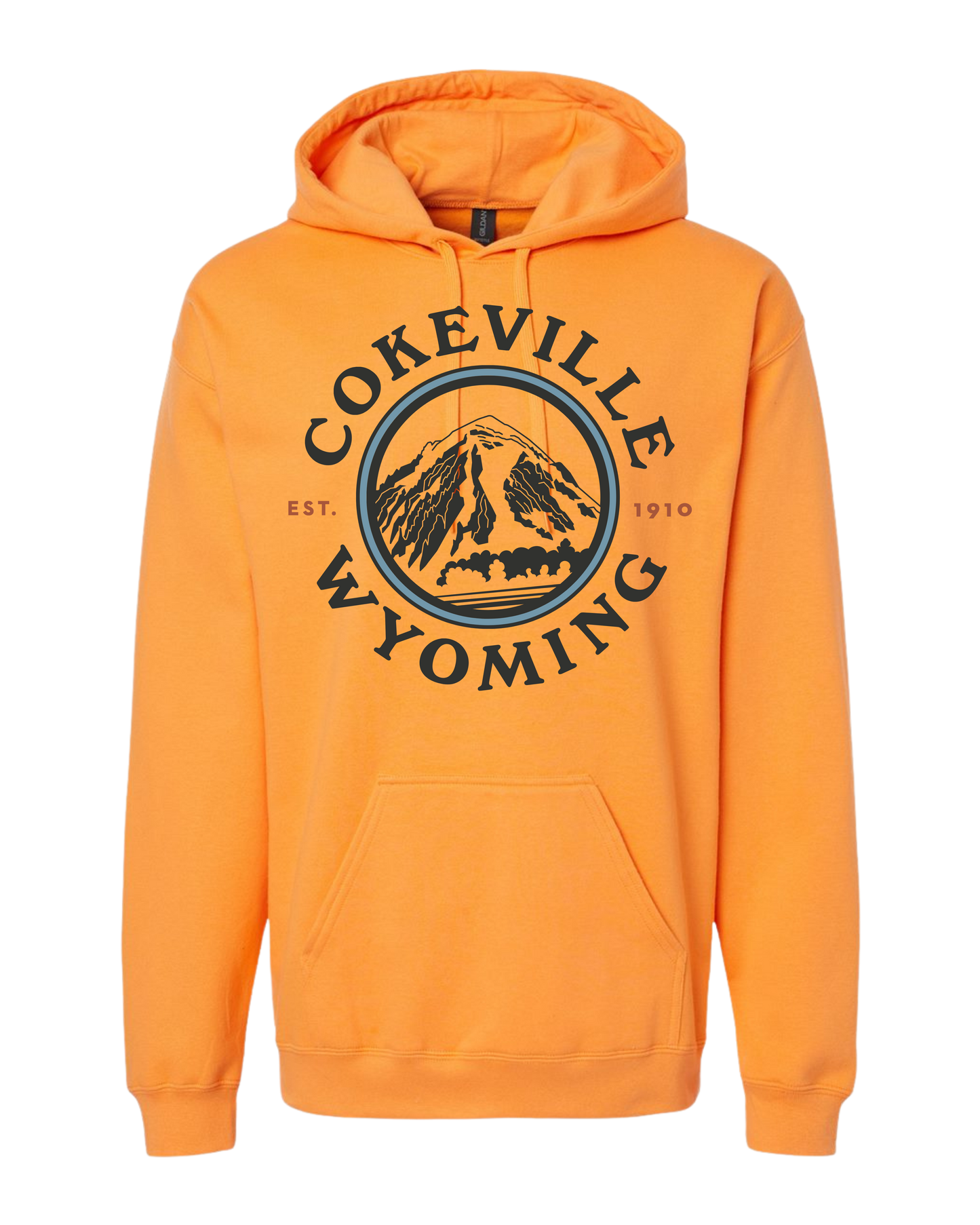 Hoodie Option #3