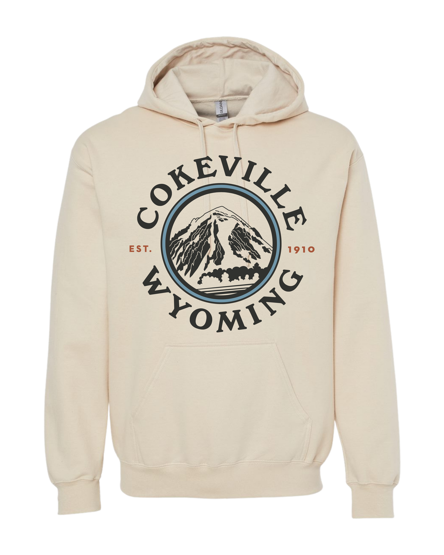 Hoodie Option #3