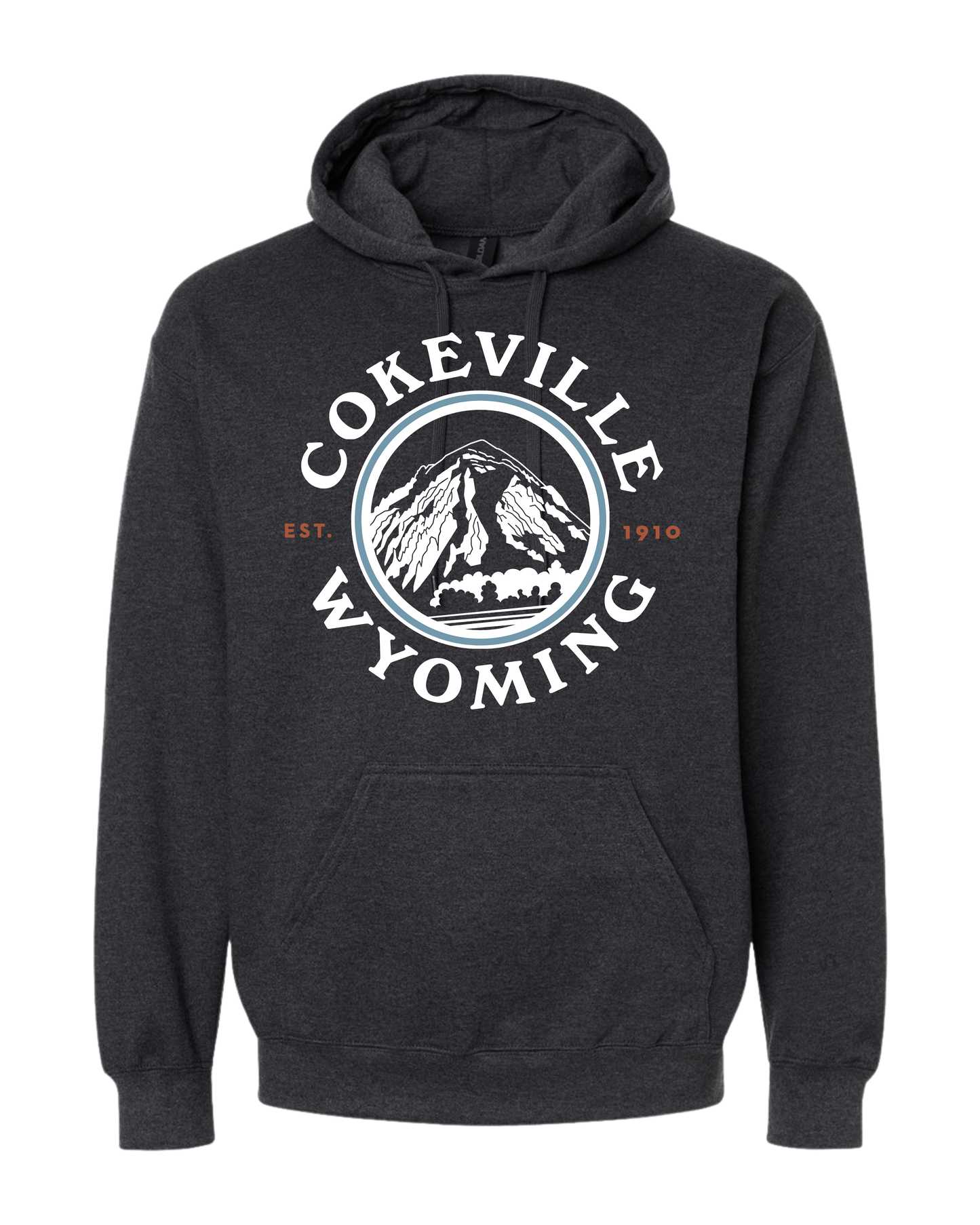 Hoodie Option #3
